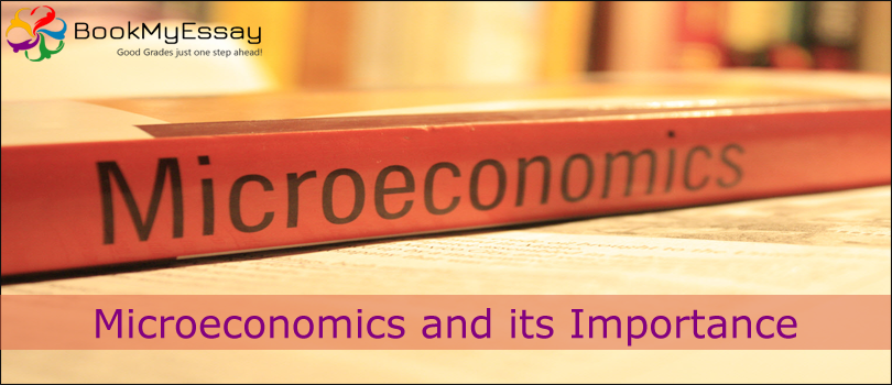 microeconomics assignment help