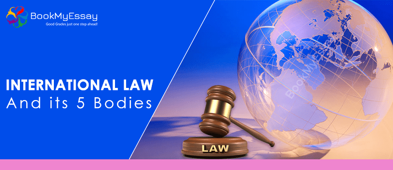 international-law-assignment-help