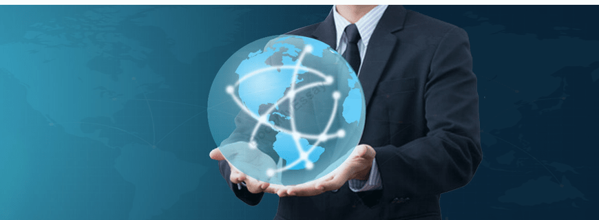 Leaders for Global Operations Assignment Help