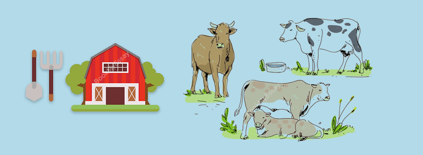 Livestock Housing Assignment Help