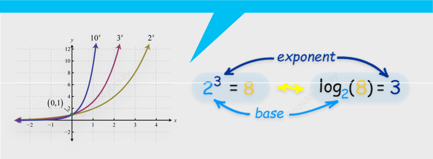 Logarithms and Exponentials Assignment Help