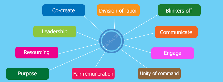 Management Principles Assignment Help