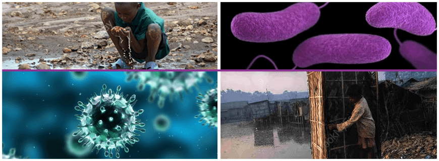 Managing Water-Related Disease Assignment Help