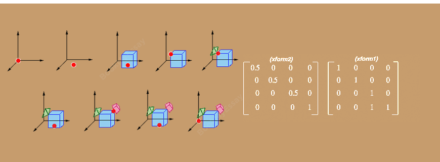 Matrix Transformations Assignment Help