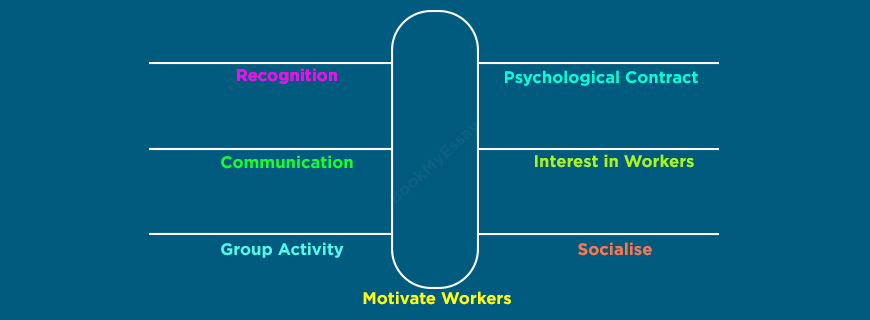 Mayo Motivation Theory Assignment Help