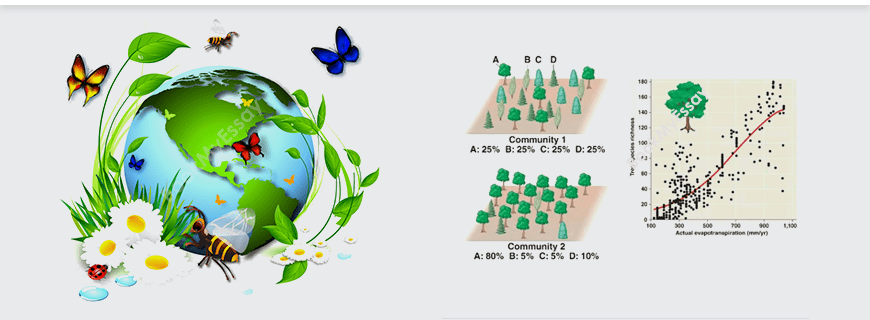 Measuring and Conserving Biodiversity Assignment Help