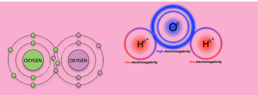 Molecules and Covalent Bonds Assignment Help