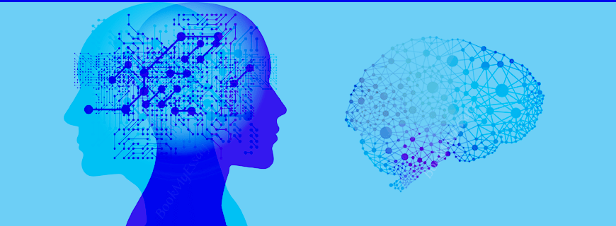 Neuroscience Assignment Help