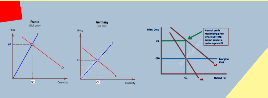 Price Discrimination Assignment Help
