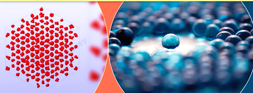 Program in Polymers and Soft Matter Assignment Help