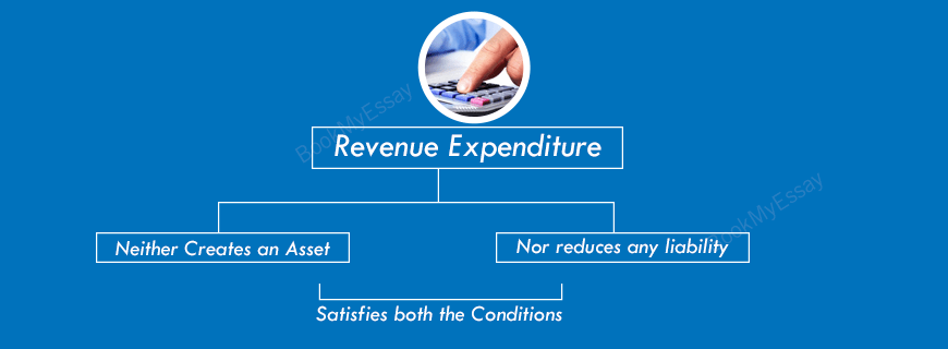 Revenue Expenditure Assignment Help