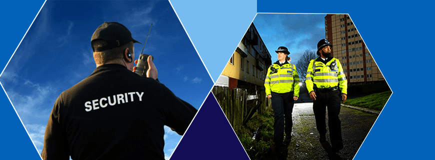 Security Studies Assignment Help