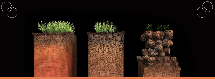 Soil Fertility Assignment Help