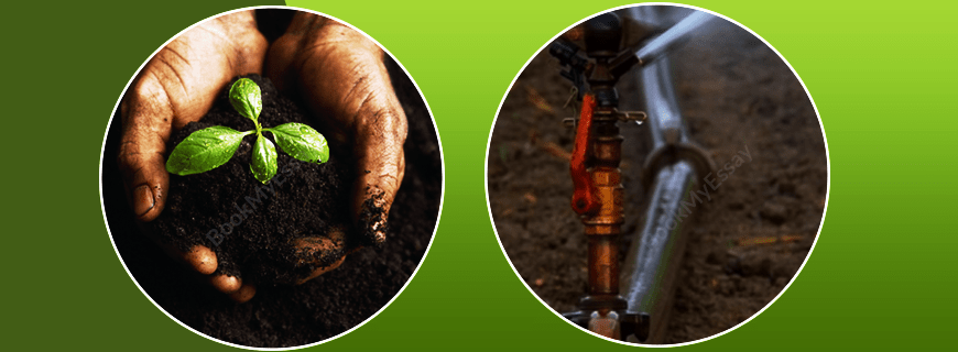 Soil and Water Science Assignment Help