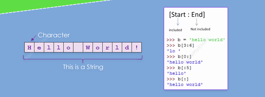 String Manipulation Assignment Help
