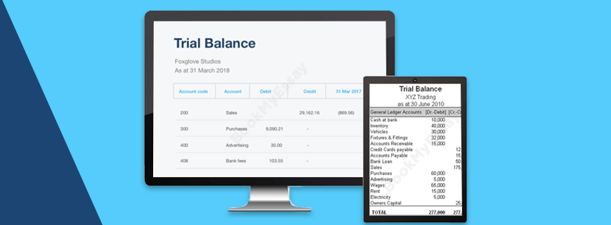 The Trial Balance Assignment Help