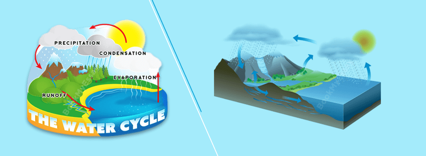 The Water Cycle Assignment Help