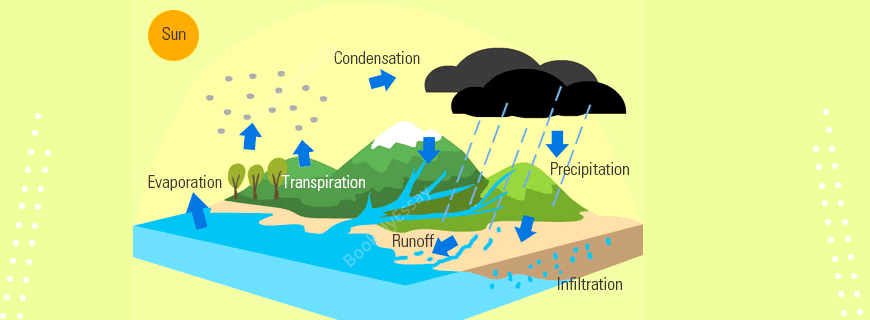 Water Cycle Assignment Help