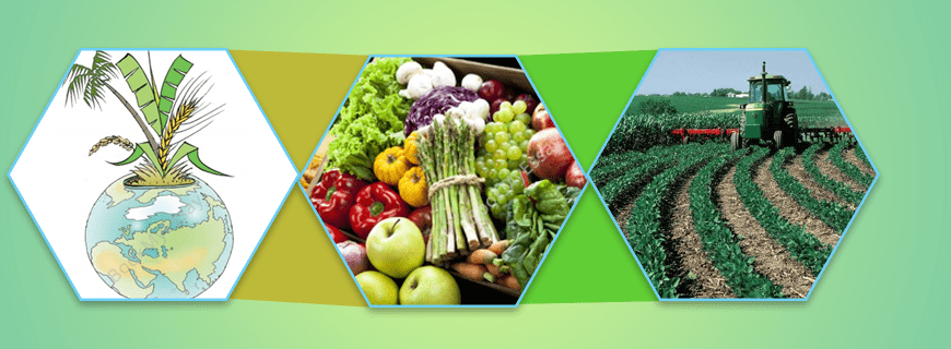 Water, Food and Agriculture Assignment Help