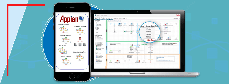 Task assignment appian picture