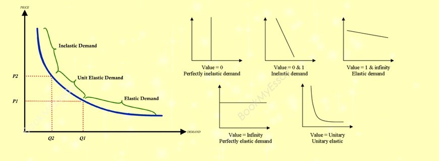 Elasticity of Demand Assignment Help