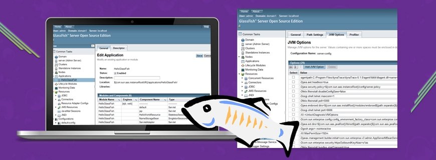 GlassFish Assignment Help