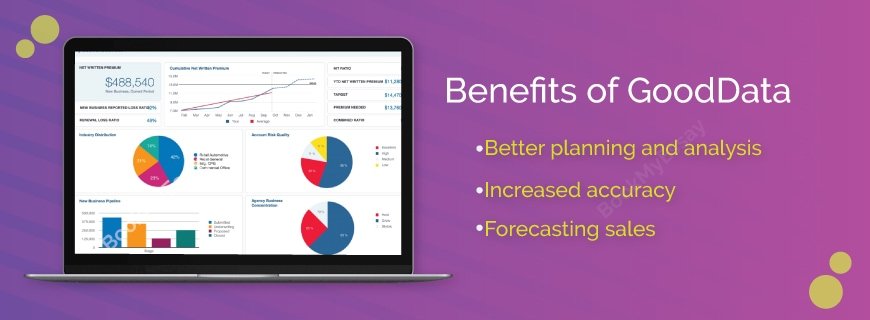 GoodData Assignment Help