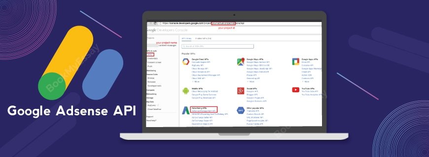 Google Adsense API Assignment Help