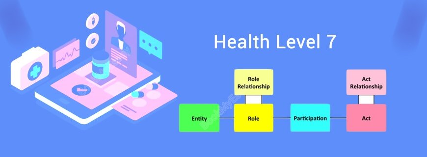 Health Level 7 Assignment Help
