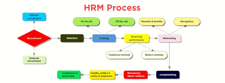 Human Resource Management Assignment Help
