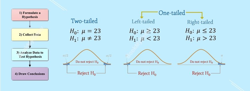 Hypothesis Testing Assignment Help