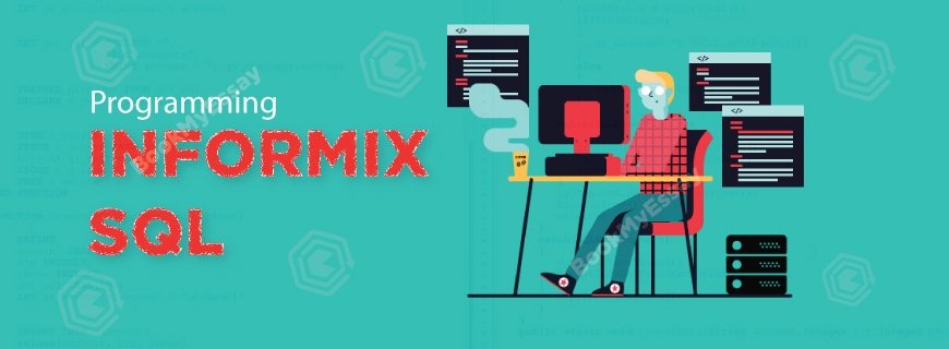 Informix Programming Assignment Help