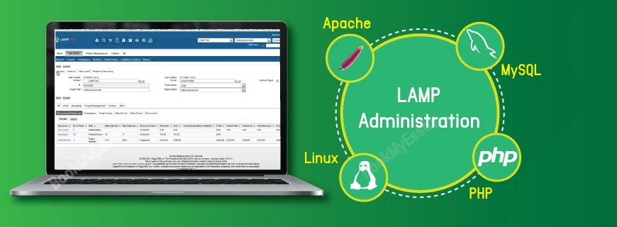 LAMP Administration Assignment Help