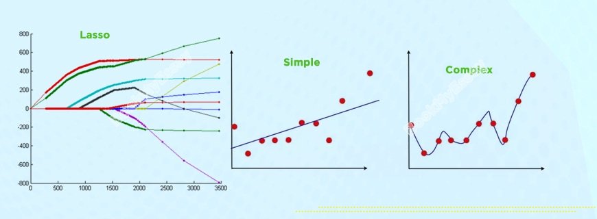 Lasso Assignment Help