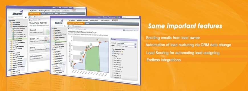 Marketo Assignment Help