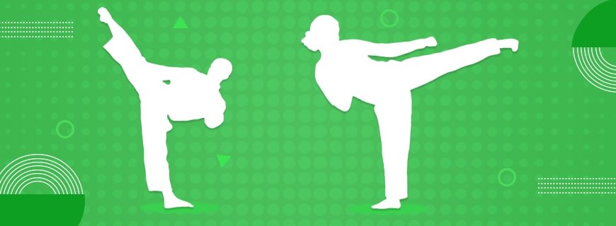 Martial Arts Assignment Help