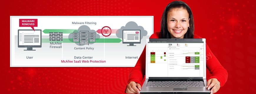 McAfee SaaS Assignment Help