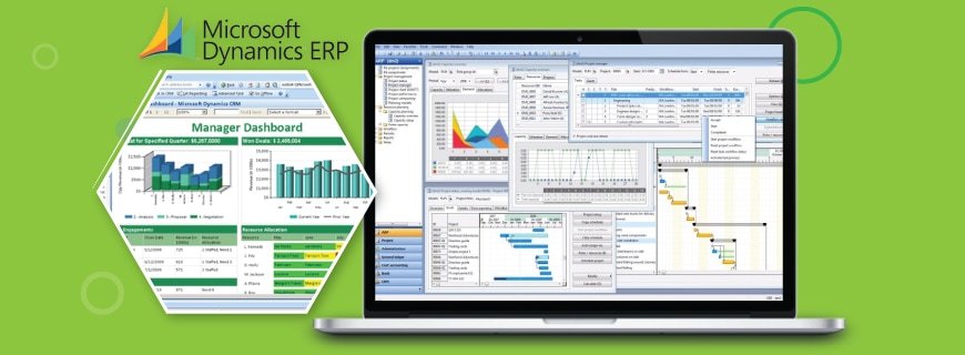 Microsoft Dynamics ERP Assignment Help