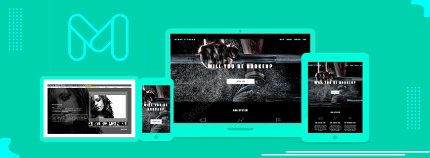 Moonfruit Site Maker Assignment Help