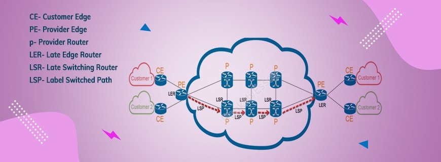 Multiprotocol Label Switching Assignment Help