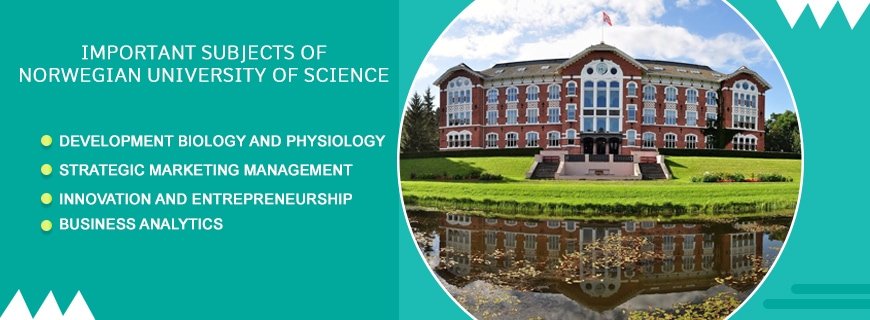 Norwegian Assignment Help