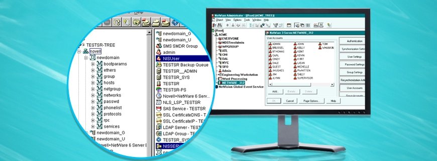 Novell NetWare Assignment Help