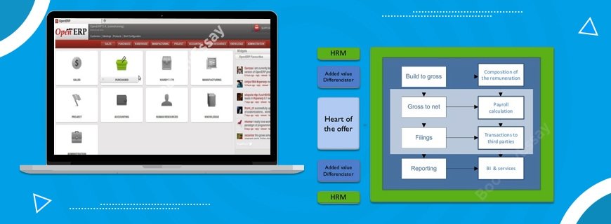 OpenERP Administration Assignment Help
