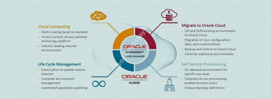 Oracle Peoplesoft Development Assignment Help