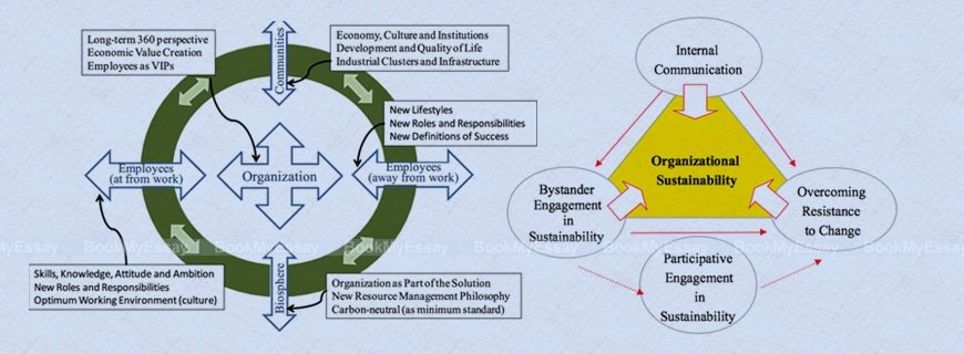 Organizational Sustainability Assignment Help