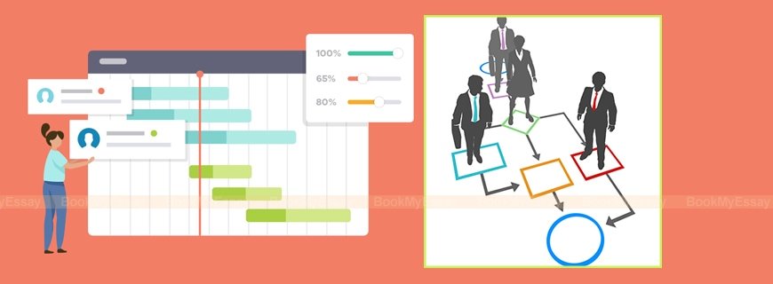 Organizing Assignment Help