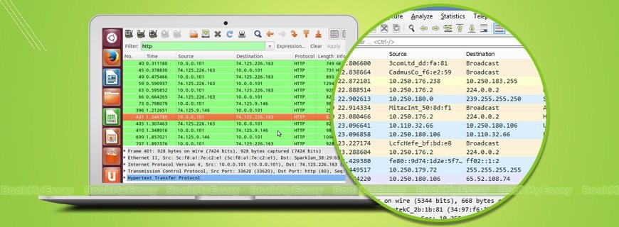 PCAP Assignment Help