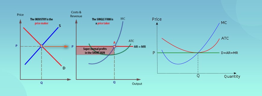 Perfect Competition Assignment Help