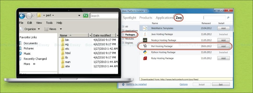 PerlDancer Assignment Help