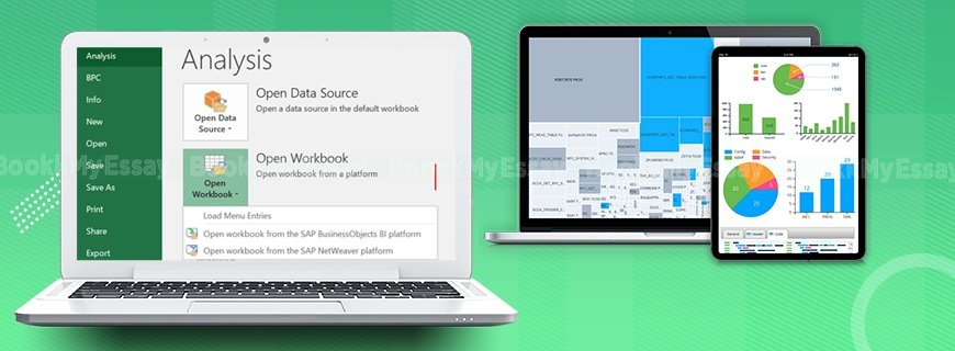 SAP Analysis Assignment Help